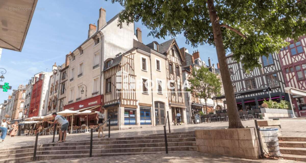 Exclusivite orleans proximite place du chatelet - photo 11