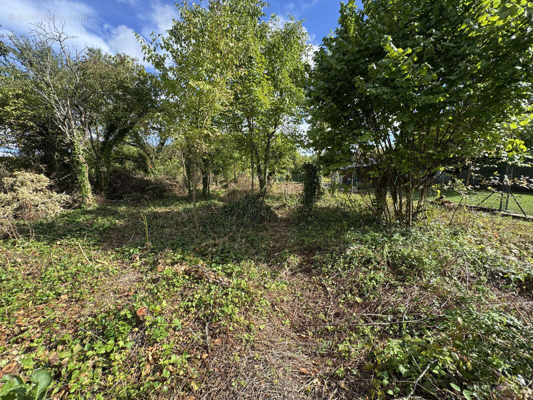 Maison à TRONVILLE-EN-BARROIS