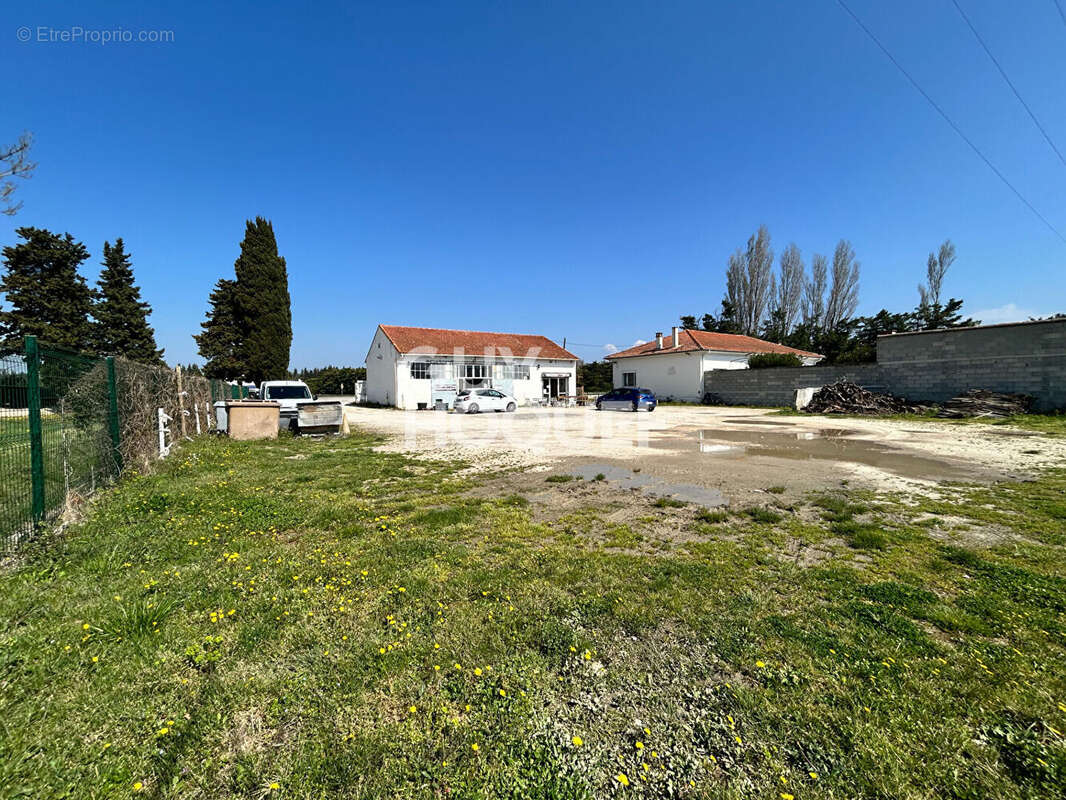 Commerce à CAVAILLON