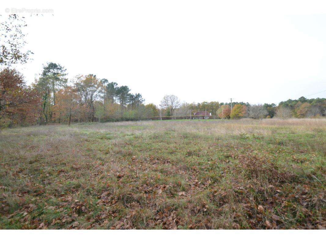 Terrain à SAINT-JEAN-D&#039;ATAUX