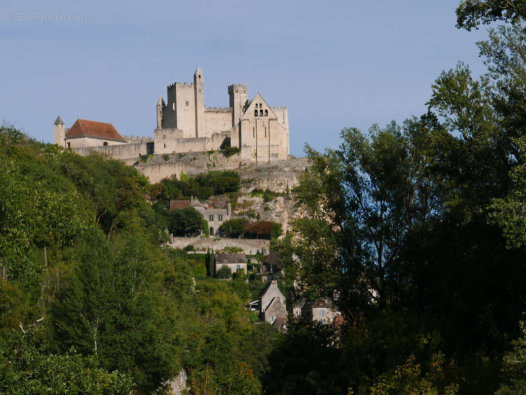 Maison à BEYNAC-ET-CAZENAC
