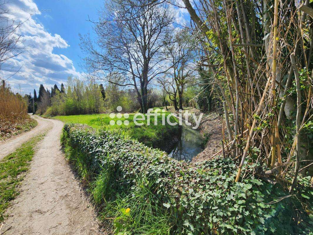 Maison à SAINT-REMY-DE-PROVENCE