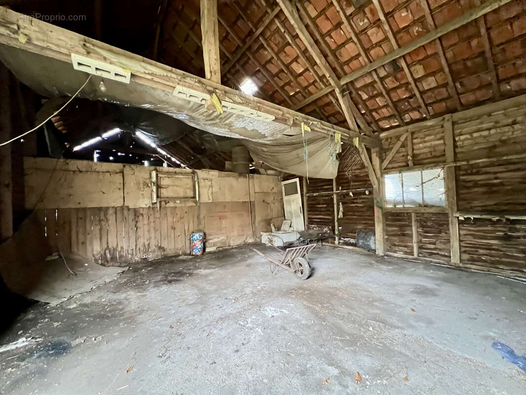 Autre à SAINT-CYR-EN-VAL