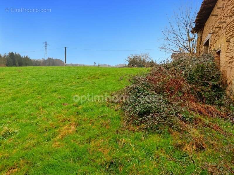 Terrain à AUGEROLLES
