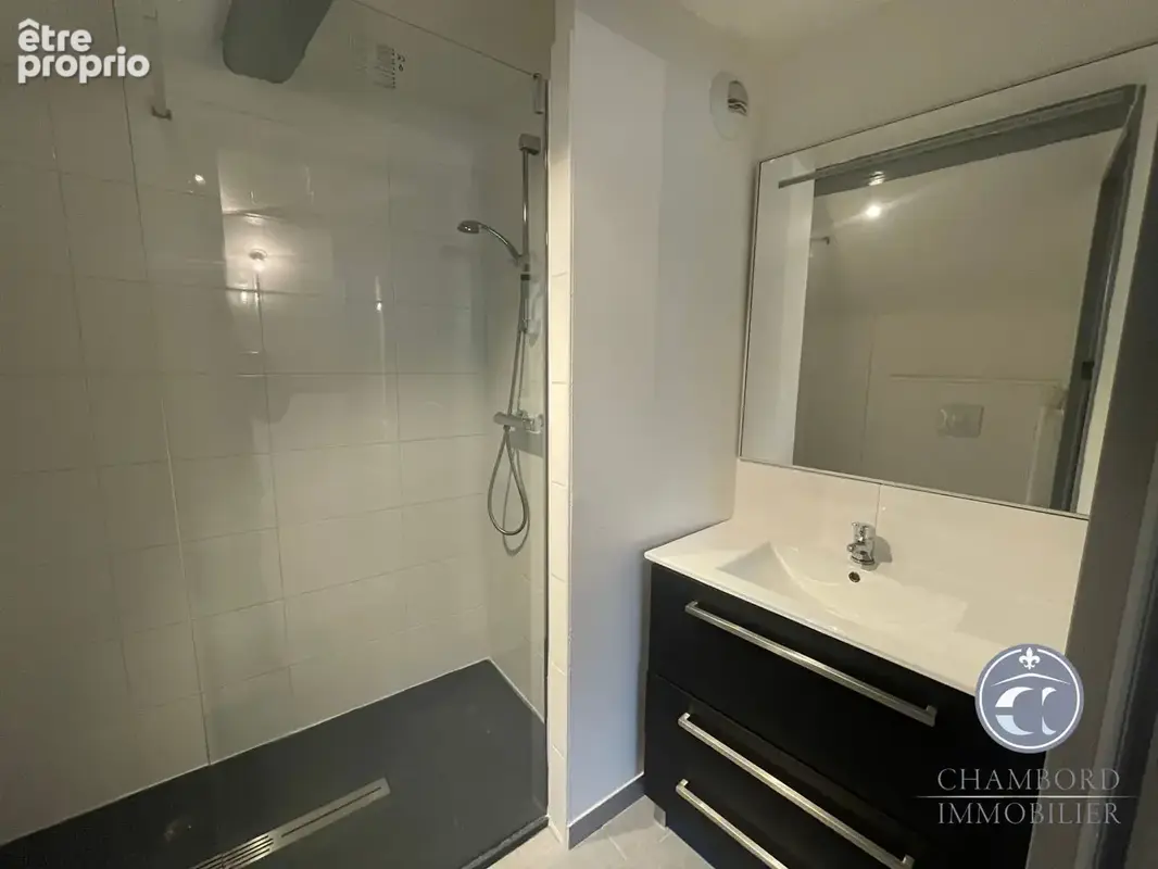 Appartement poétique à vendre au coeur de Blois, exclusivité CHAMBORD IMMOBILIER - photo 10