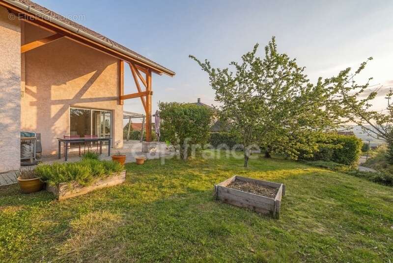 Maison à CHALLEX