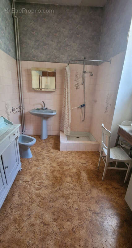 Grande maison de village  de 175 m2 avec cour + potager+ Chataigneraie - photo 9