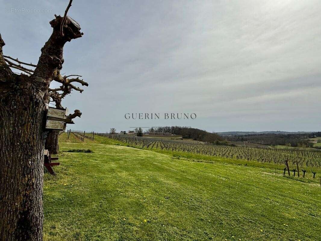 Maison à MONBAZILLAC