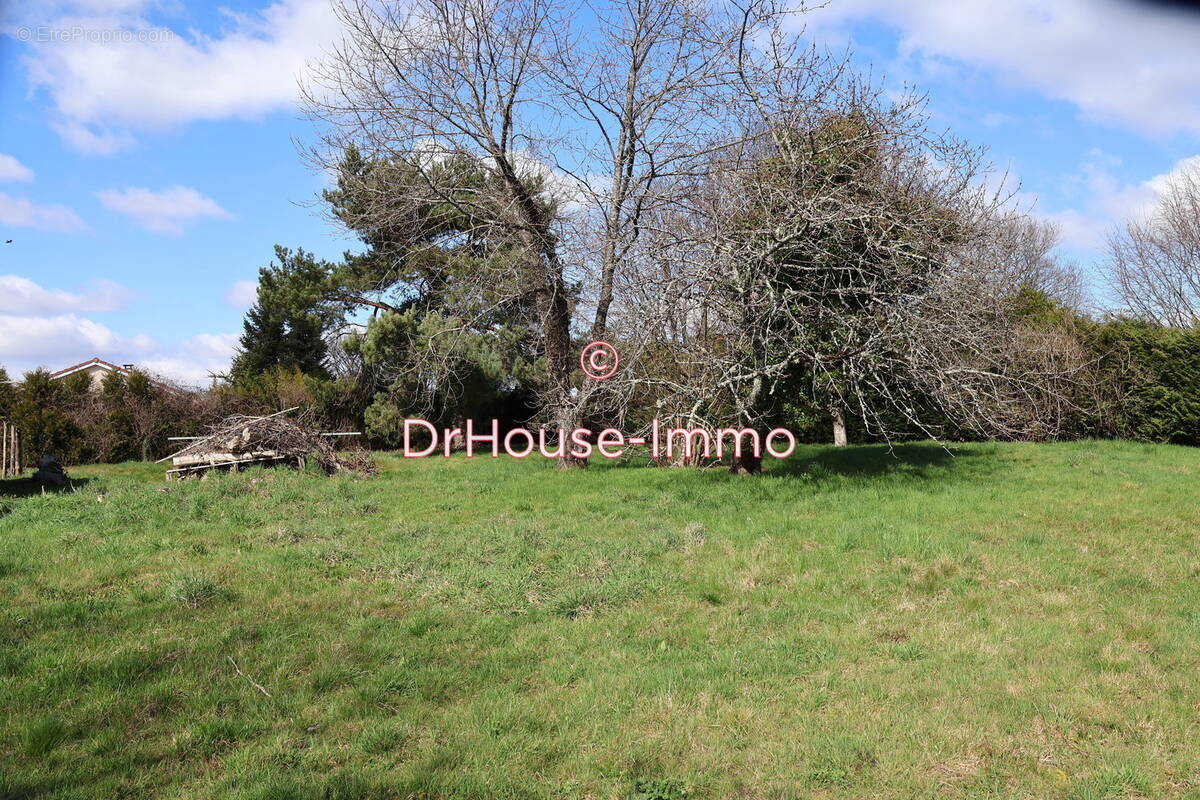 Terrain à SAINT-JUST-LE-MARTEL