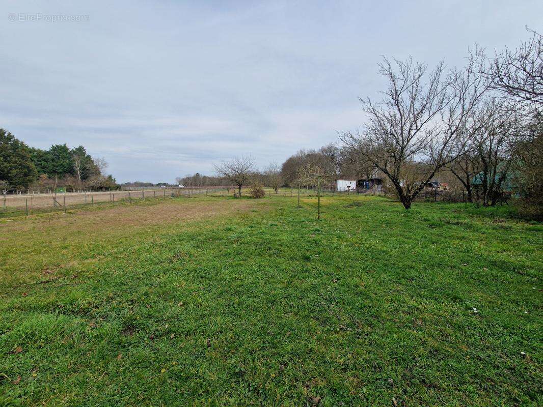 Maison à CHATILLON-SUR-CHER