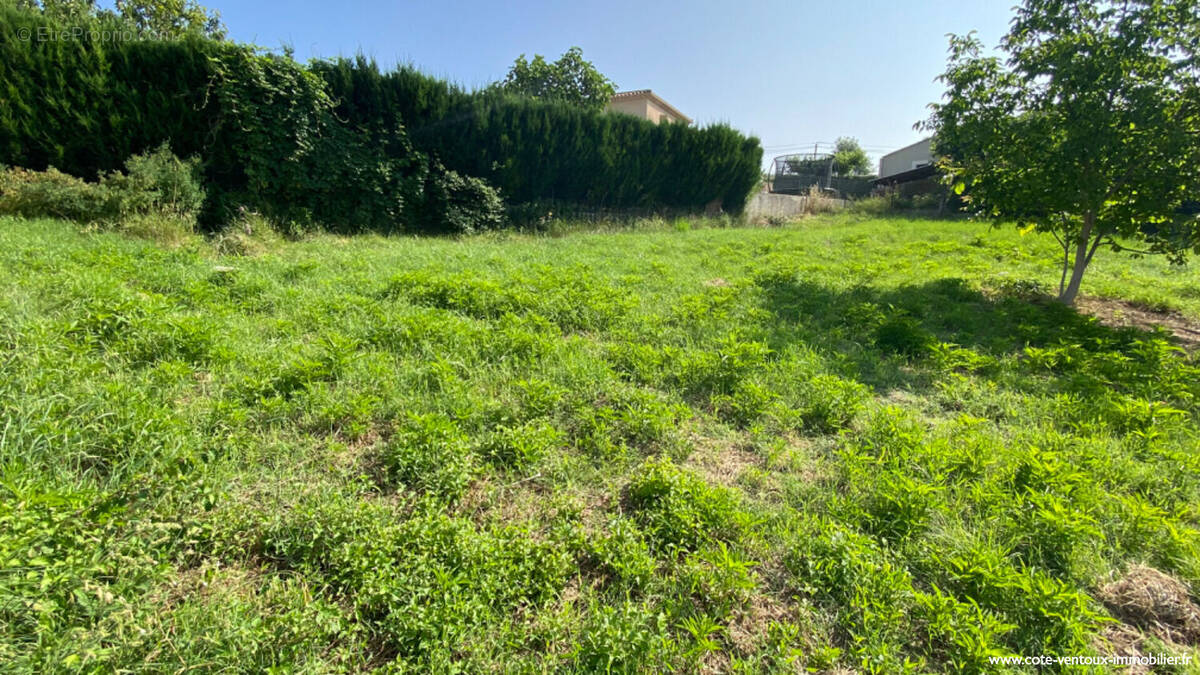 Terrain à ENTRECHAUX