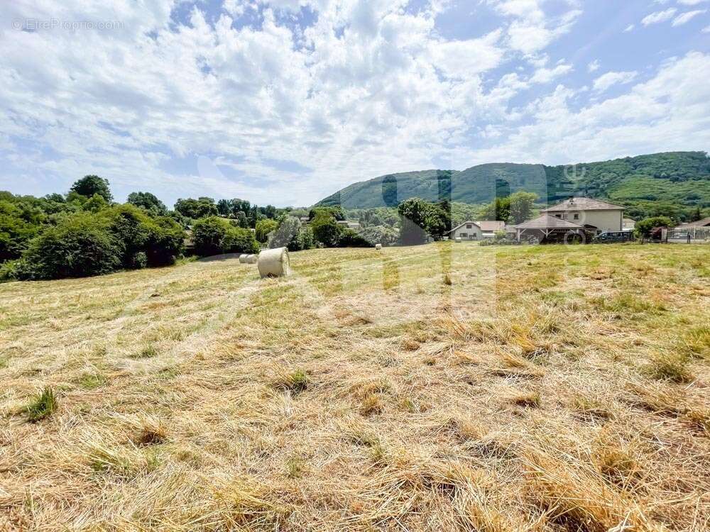 Terrain viabilisé (Lot 6) - Terrain à BEAUCROISSANT