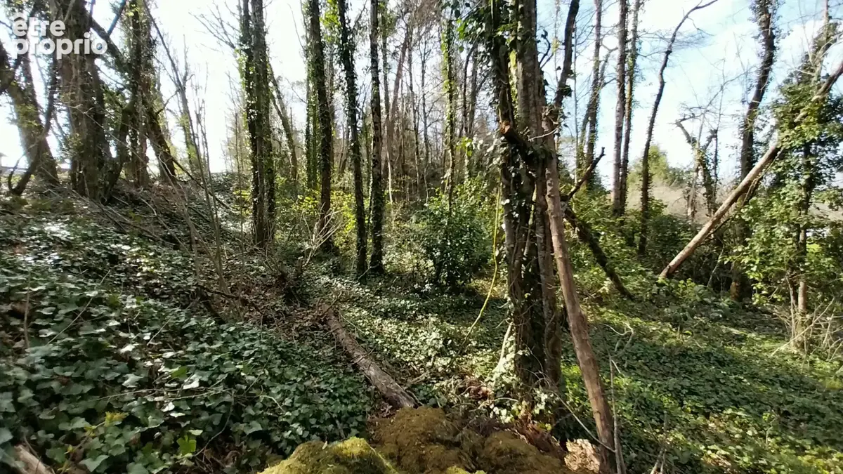 Terrain constructible Boisé 2500 m2 à CHANCELADE - photo 3