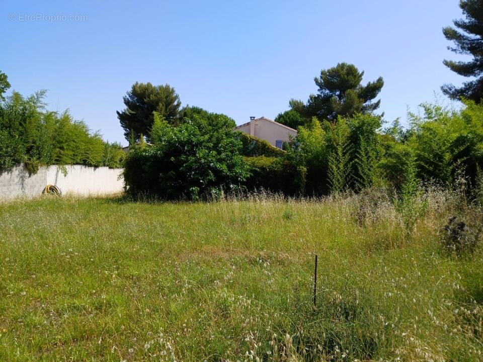 Terrain à MONTPELLIER