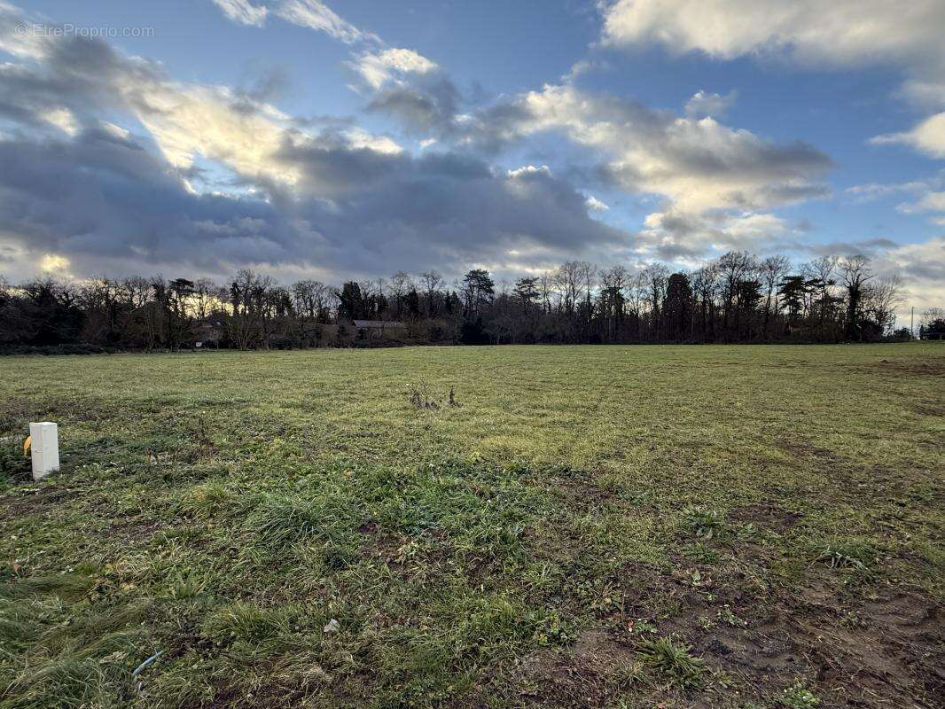 Terrain à BIOZAT