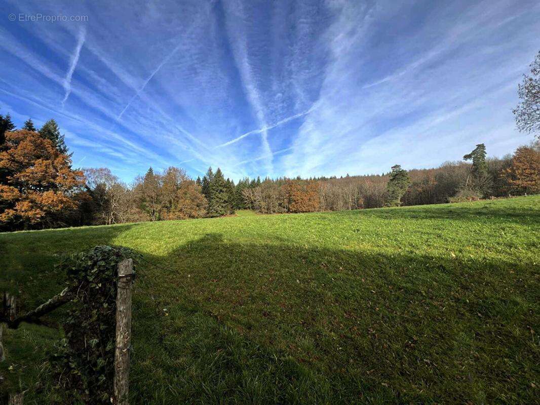 Maison à SAINT-PRIEST-LES-FOUGERES