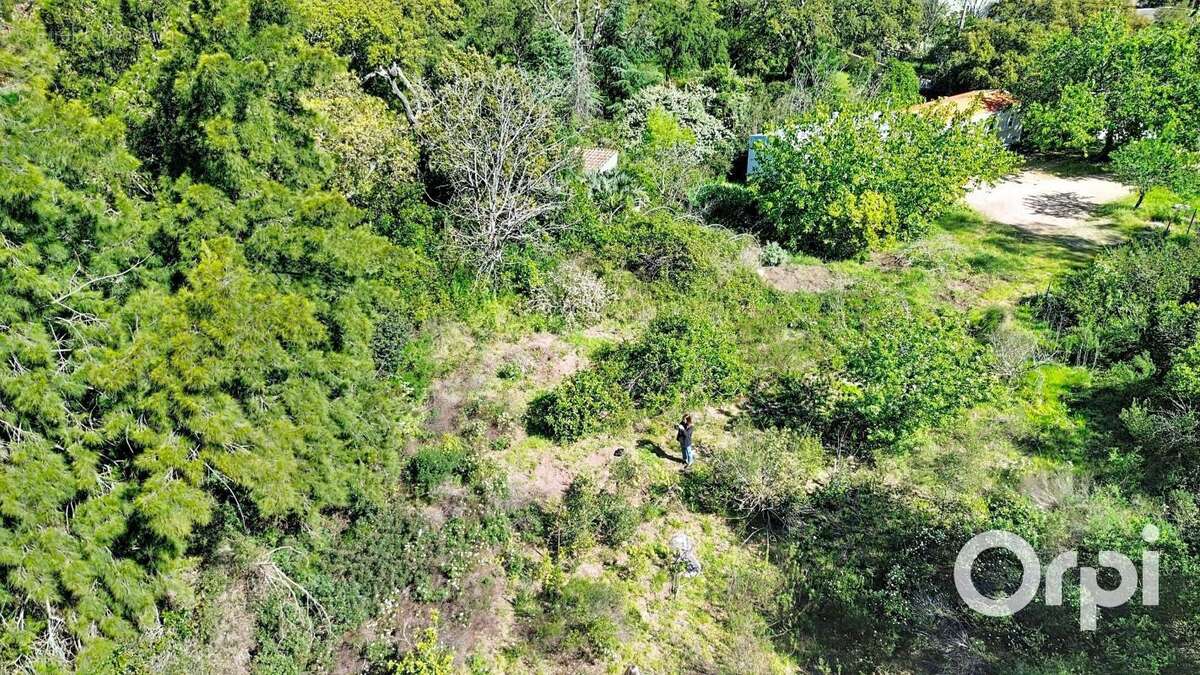 Terrain à PORTO-VECCHIO