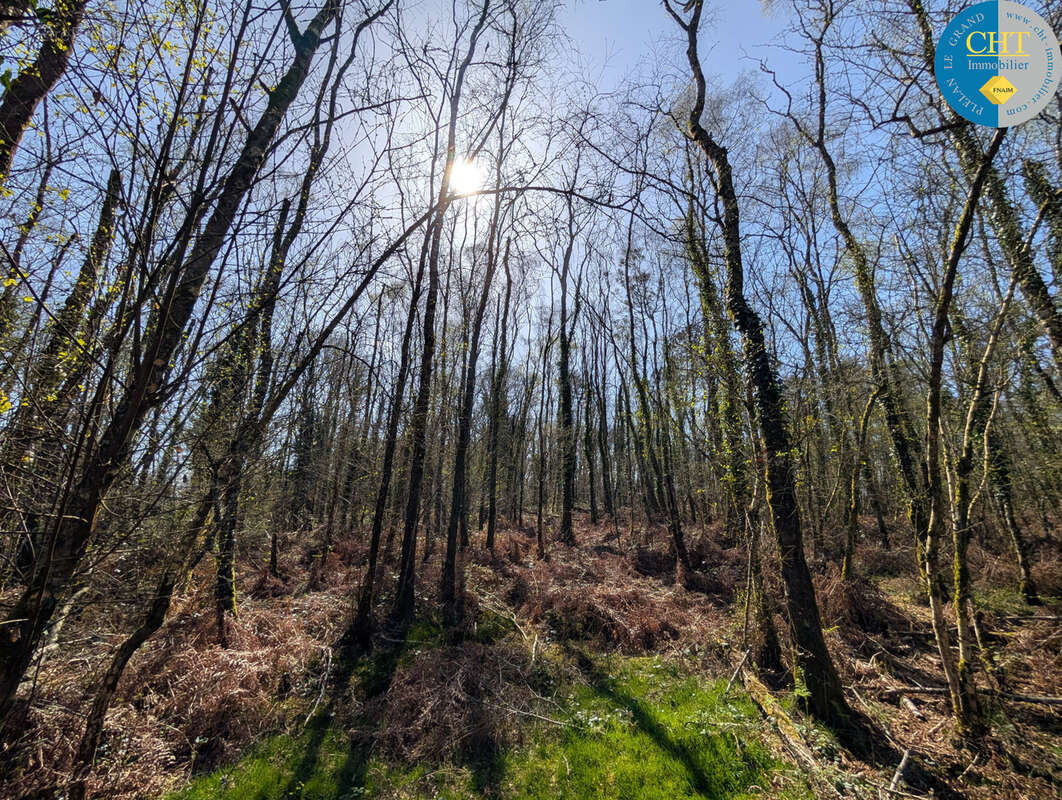 Terrain à CAMPENEAC