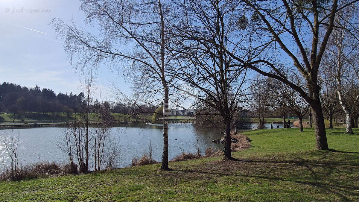 Appartement à BRIE-COMTE-ROBERT