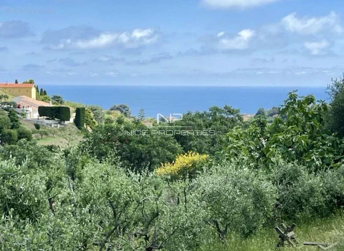 Terrain à NICE