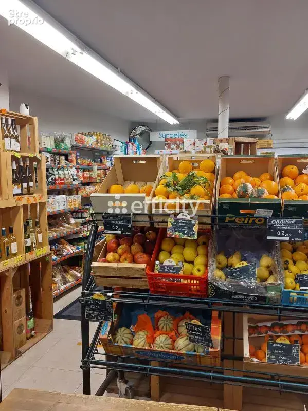 Commerces/Negoce - photo 5
