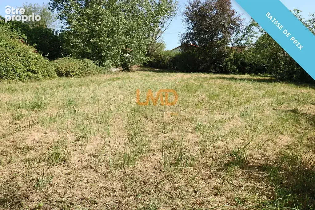Maison individuelle à rieux volvestre sur un terrain de 1735 m² - photo 8