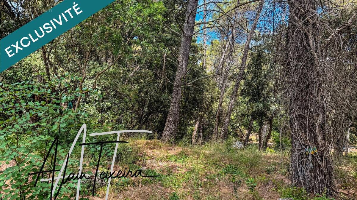 Photo 1 - Terrain à LORGUES