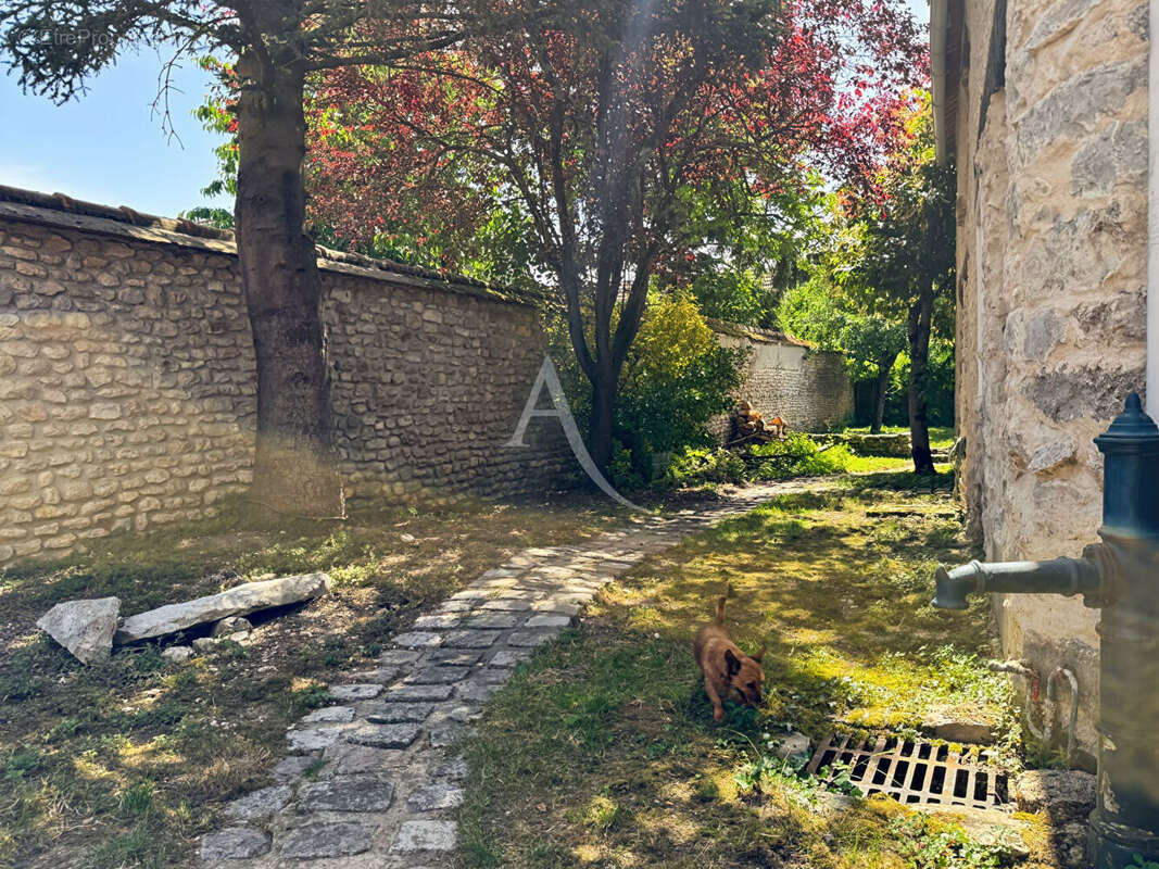 Maison en pierre renovée avec cave et jardin clos - photo 14
