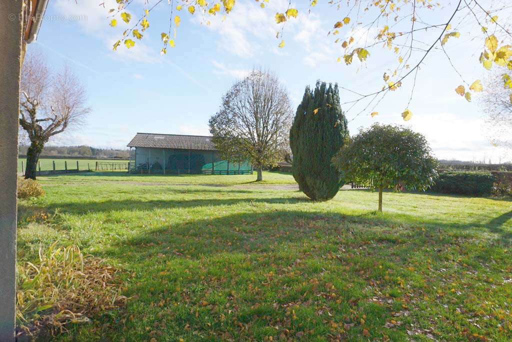 Maison à PARAY-LE-MONIAL