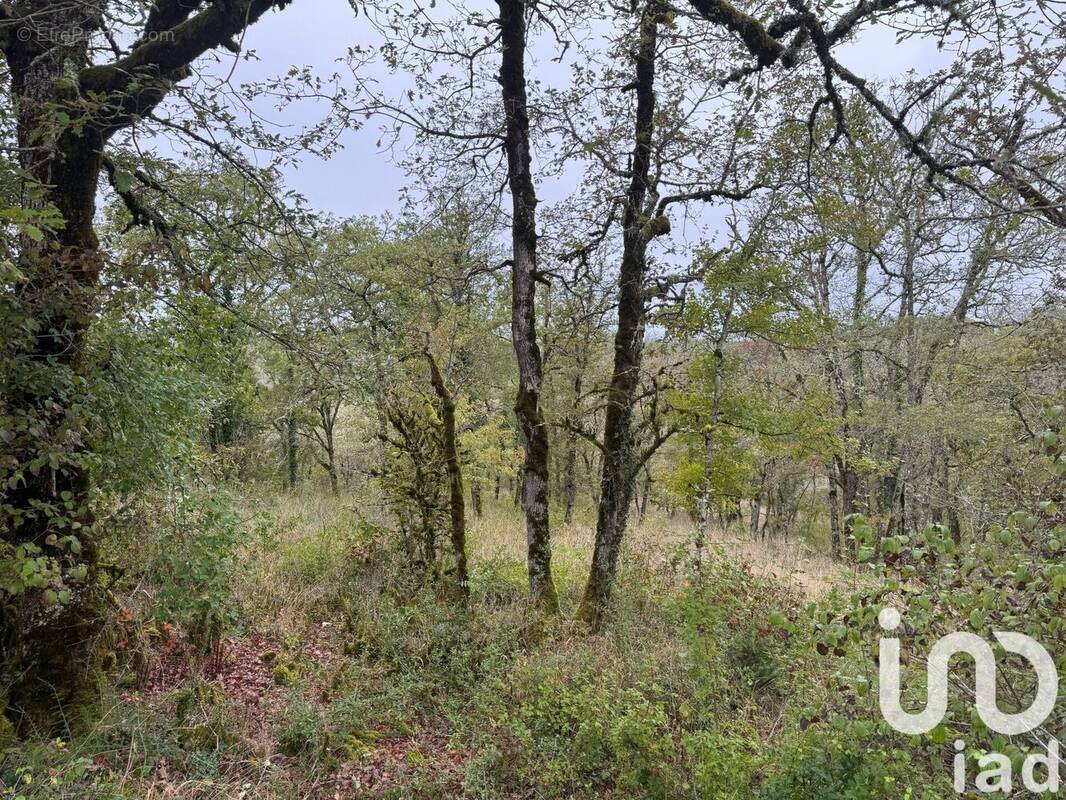 Photo 1 - Terrain à VERS