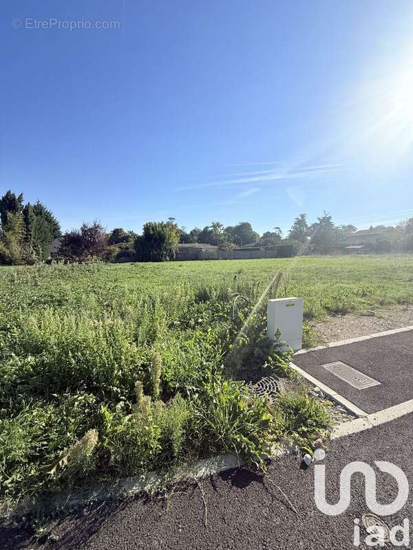 Photo 2 - Terrain à MONTAUBAN
