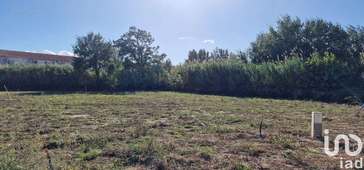 Photo 3 - Terrain à BAHO