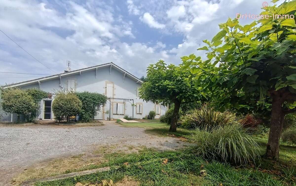 Maison 306 m² à Mugron  - photo 6