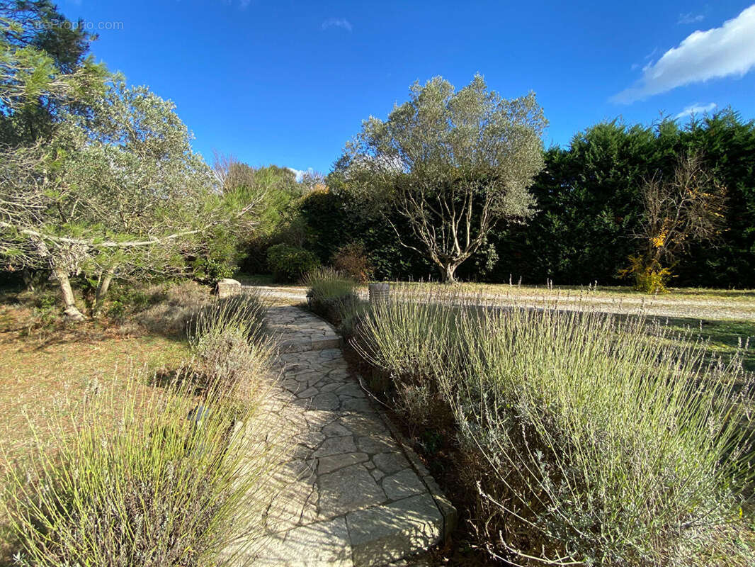 Maison type mas provençal, piscine, terrain 3300 m² - photo 17