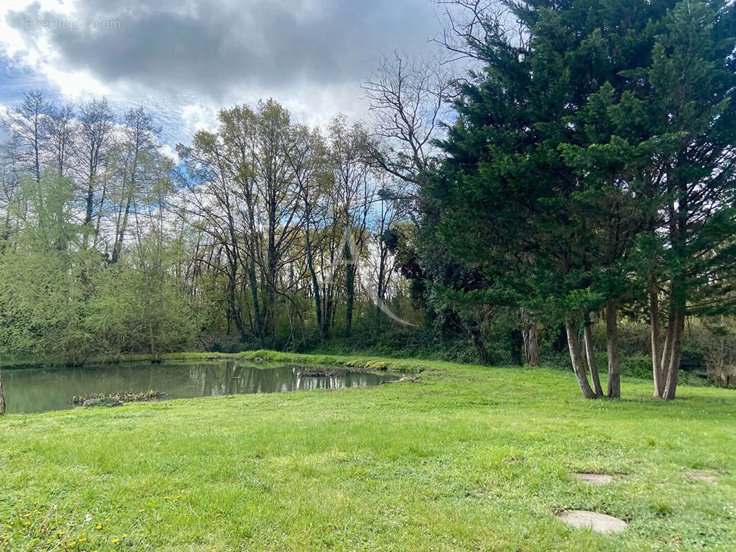 Maison à BRAY-EN-VAL