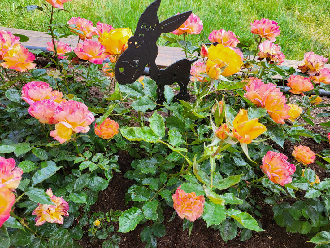 Maison à SAINT-CLAIR