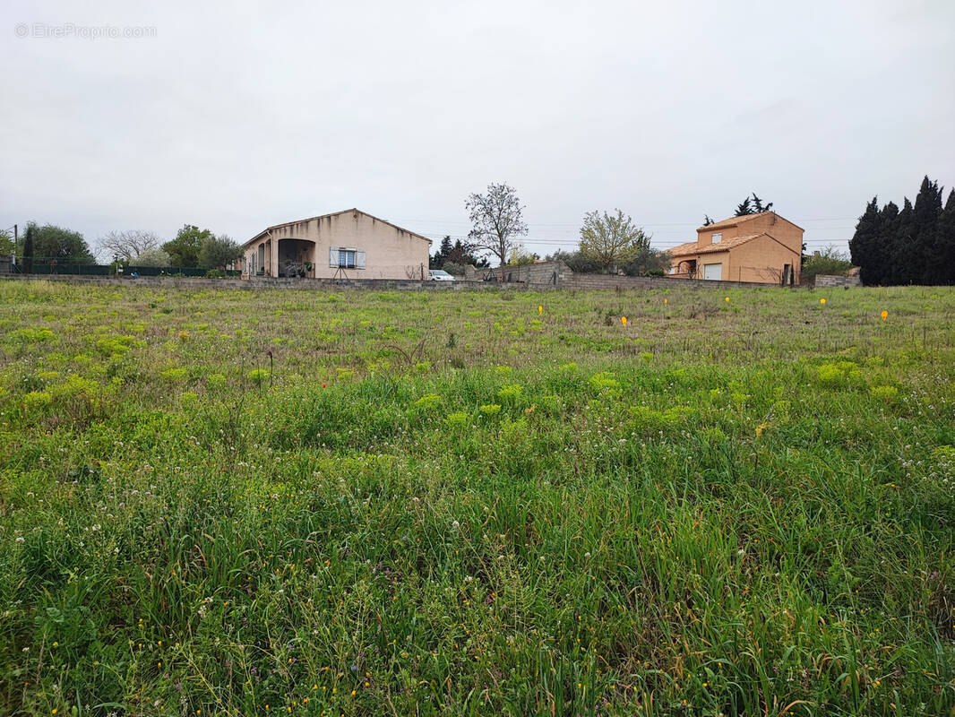 Terrain à CASTELNAU-D'AUDE