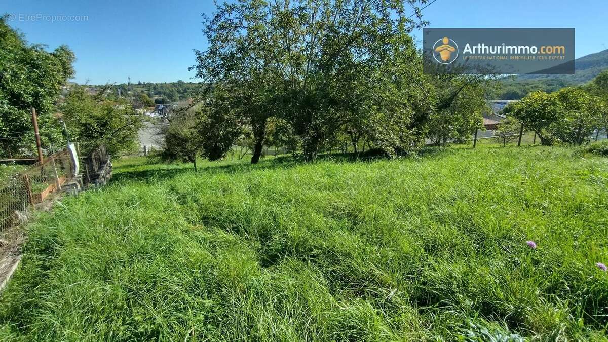 Terrain à LAROQUE-D&#039;OLMES