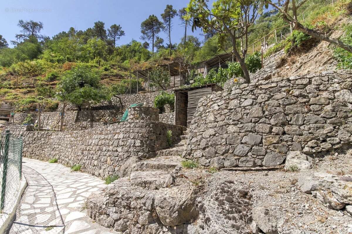Maison à TOURNEFORT