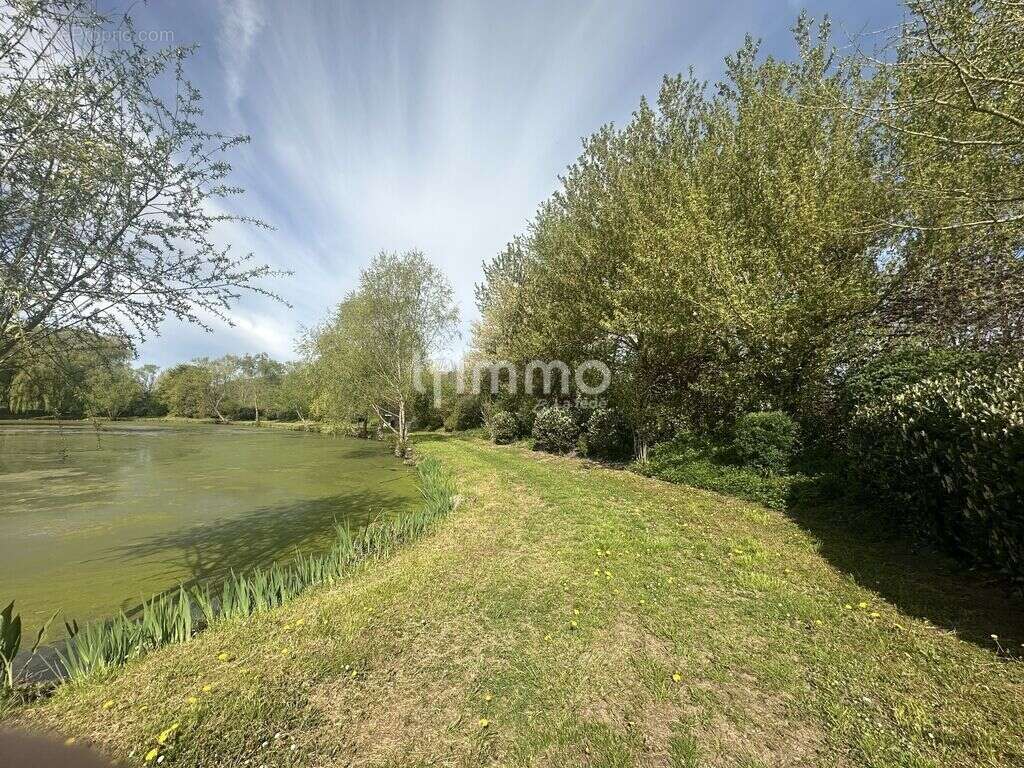 Terrain de loisir avec étang de pêche et roulotte - photo 5