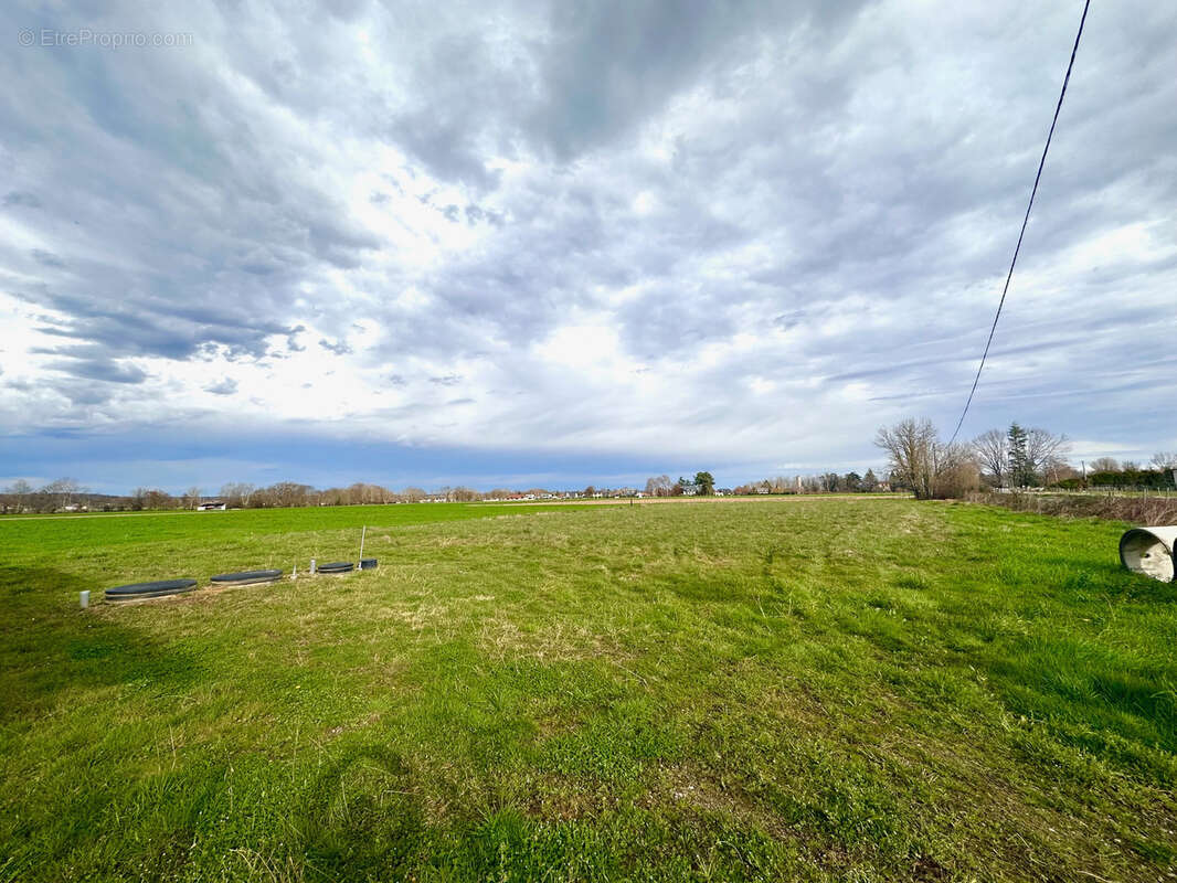 Appartement Duplex , plateau, avec grand terrain agricole - photo 3