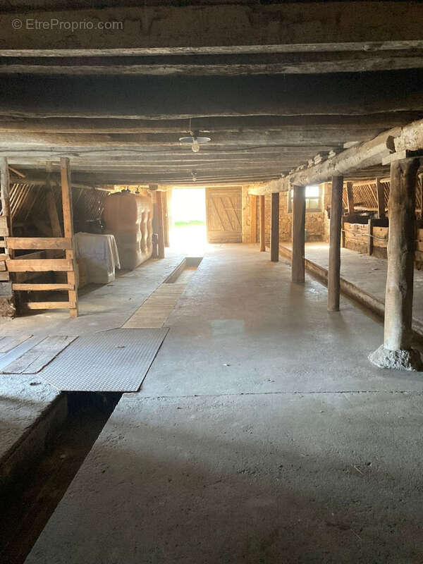 Maison à SAINTE-EULALIE