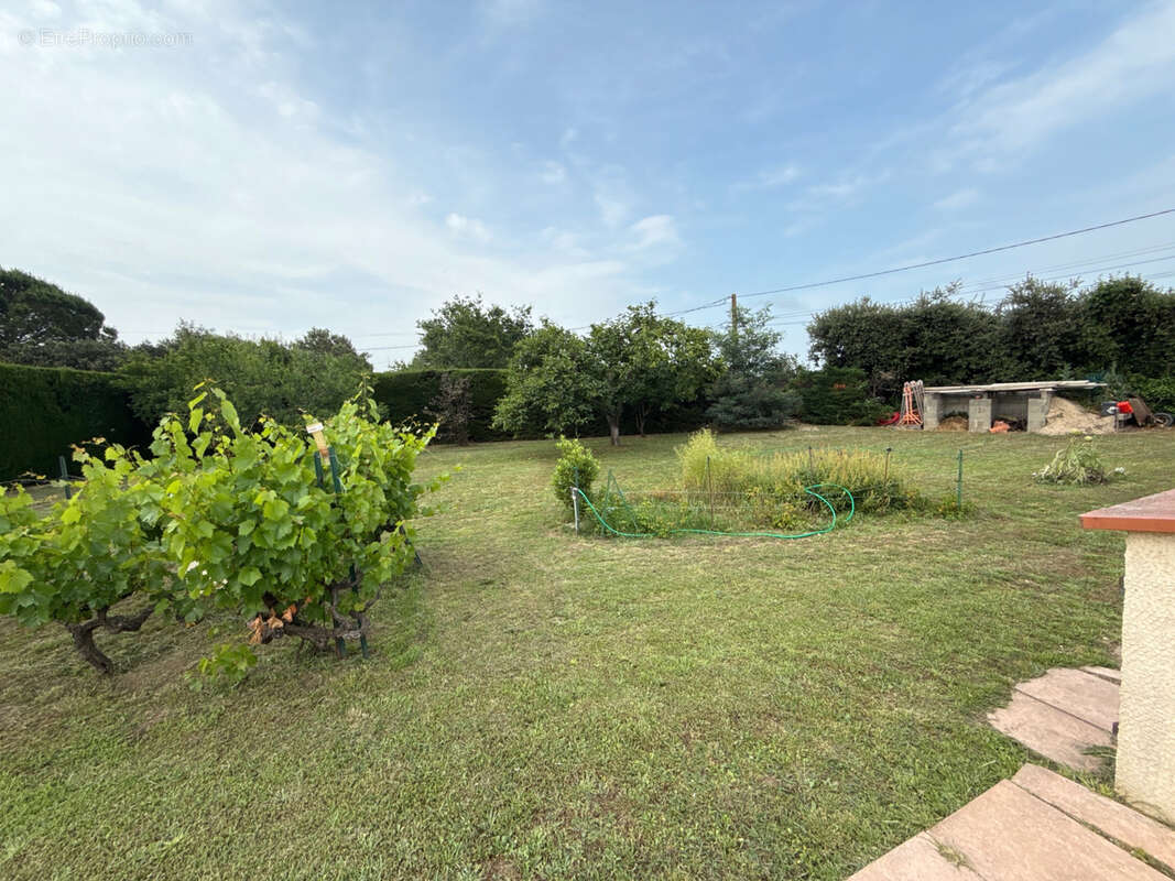 Maison à MAUREILLAS-LAS-ILLAS