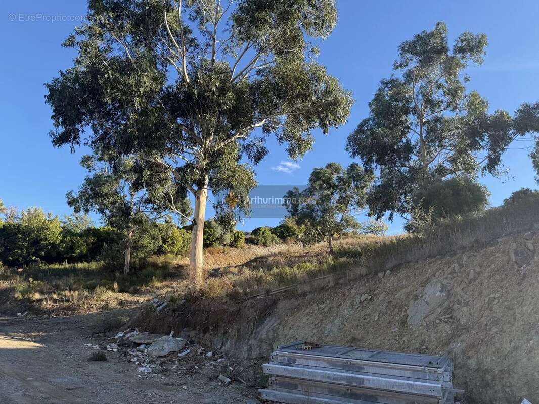 Appartement à OLMETA-DI-TUDA