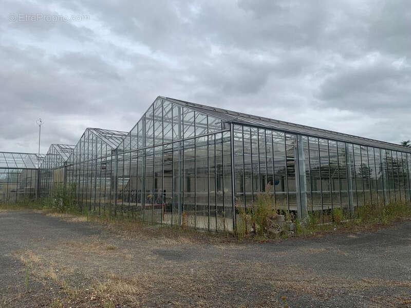 Terrain à SAINT-JEAN-DES-MAUVRETS