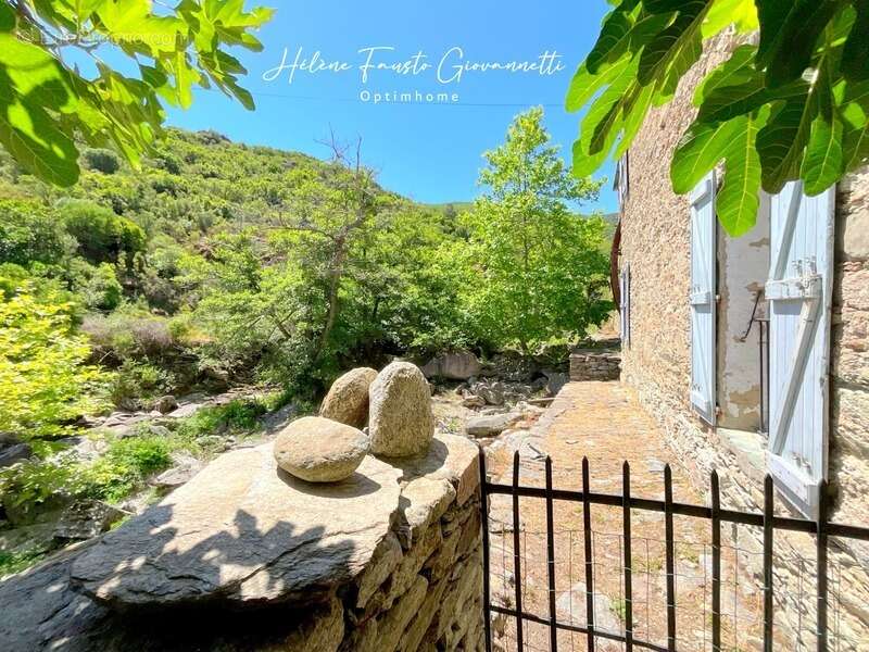Ancien Moulin en Pierre avec dépendances sur près de 2,3 hectares – Santo-Pietro-di-Tenda - photo 31