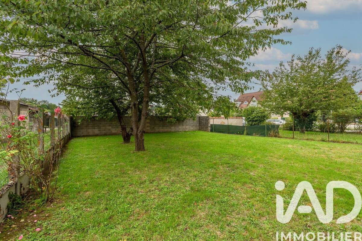 Photo 4 - Maison à DRAVEIL