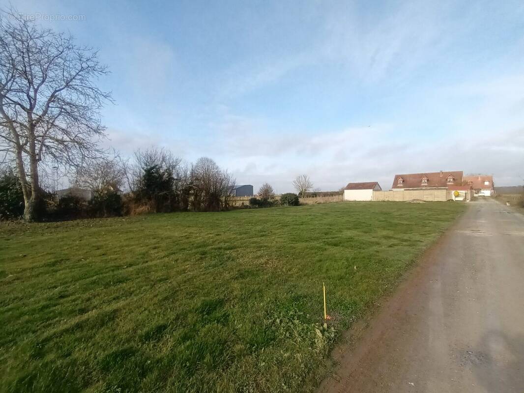 Terrain à TRINAY