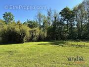 Terrain à LACOMMANDE