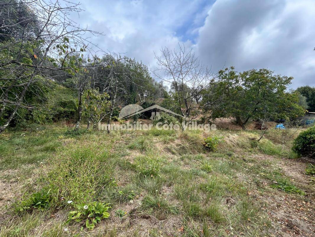 Terrain à BERRE-LES-ALPES
